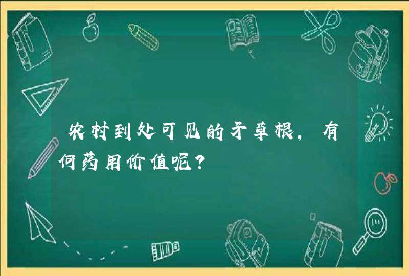 农村到处可见的矛草根，有何药用价值呢？,第1张