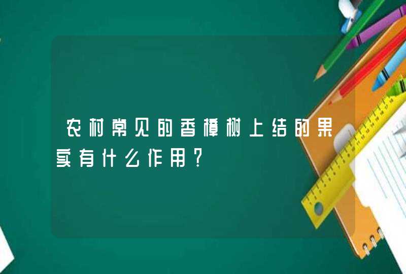 农村常见的香樟树上结的果实有什么作用？,第1张