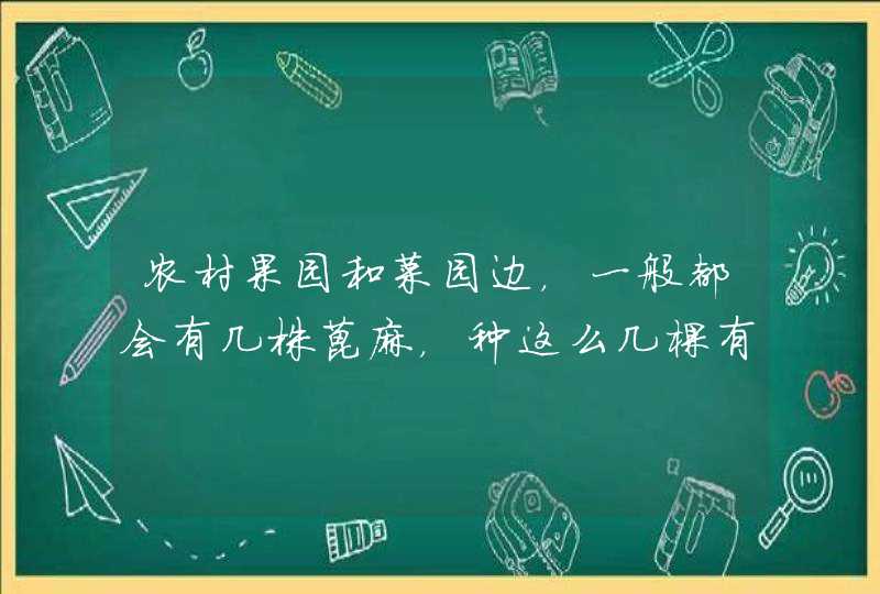 农村果园和菜园边，一般都会有几株蓖麻，种这么几棵有什么用处吗？,第1张