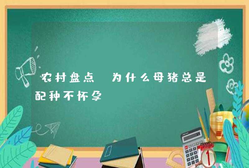 农村盘点：为什么母猪总是配种不怀孕,第1张