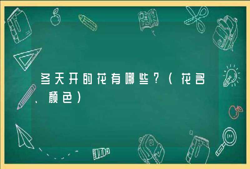 冬天开的花有哪些?（花名、颜色）,第1张