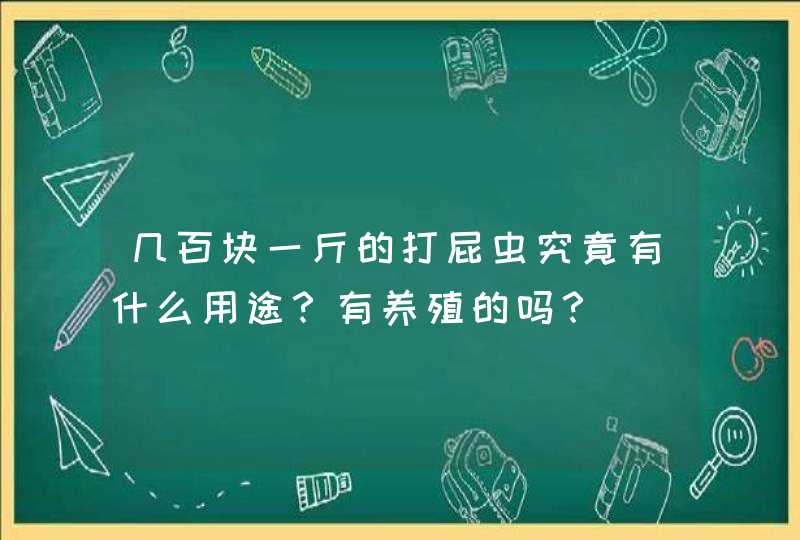 几百块一斤的打屁虫究竟有什么用途？有养殖的吗？,第1张