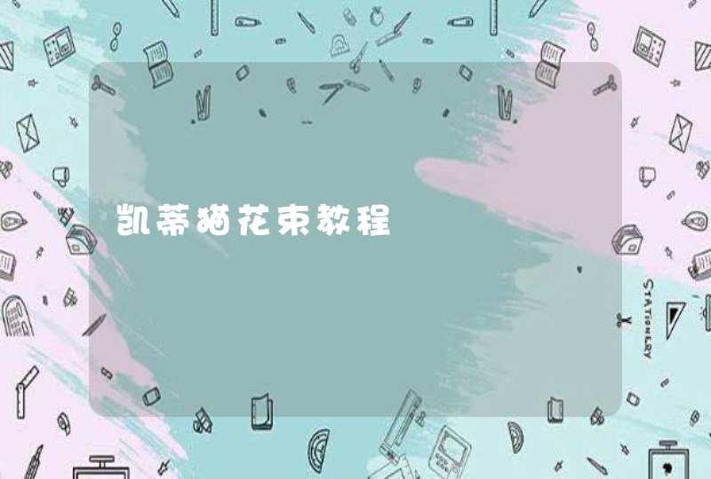 凯蒂猫花束教程,第1张