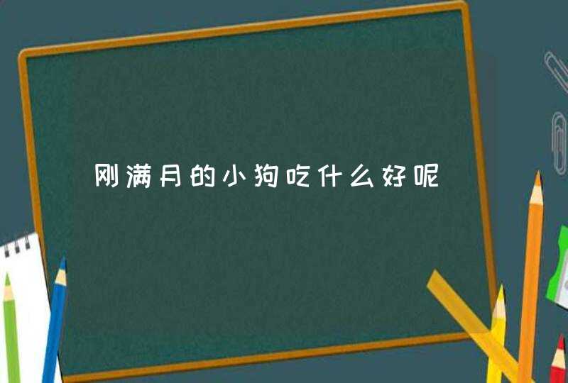 刚满月的小狗吃什么好呢,第1张