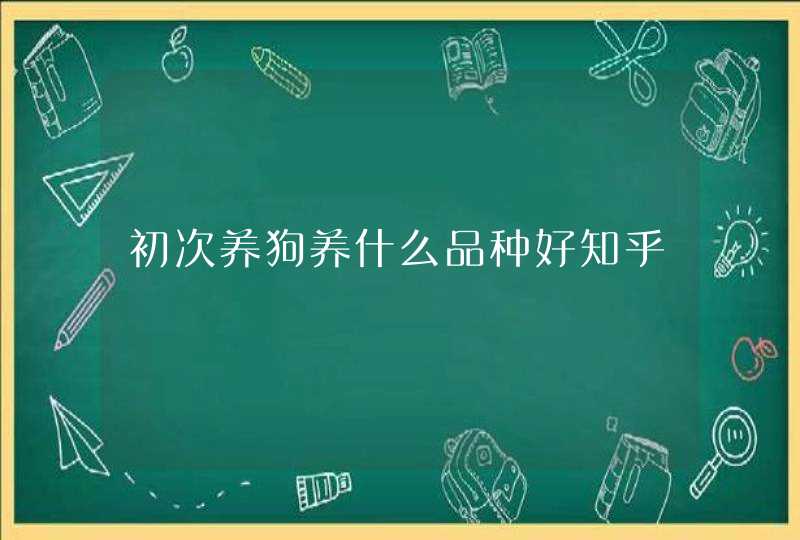 初次养狗养什么品种好知乎,第1张