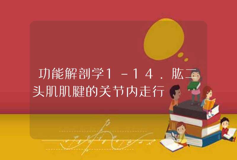 功能解剖学1-14.肱二头肌肌腱的关节内走行,第1张