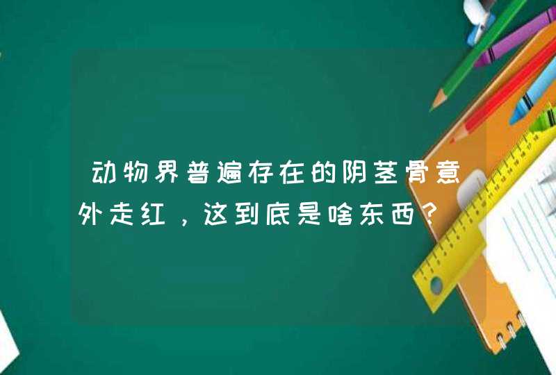 动物界普遍存在的阴茎骨意外走红，这到底是啥东西？,第1张