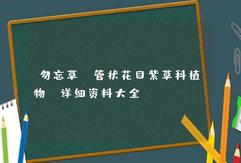 勿忘草(管状花目紫草科植物)详细资料大全,第1张