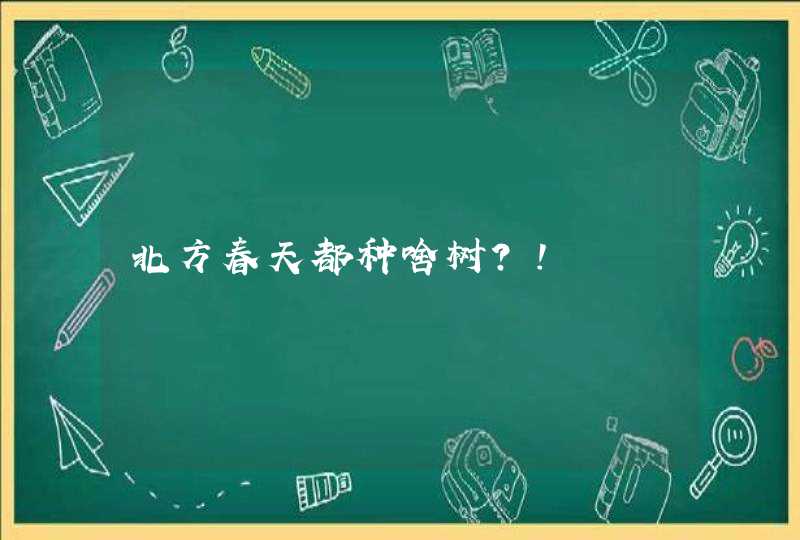 北方春天都种啥树？！,第1张