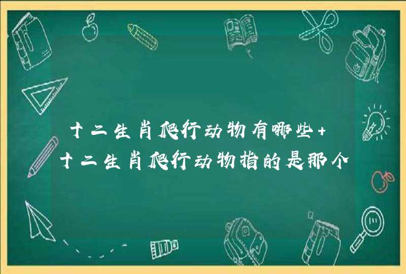 十二生肖爬行动物有哪些 十二生肖爬行动物指的是那个,第1张