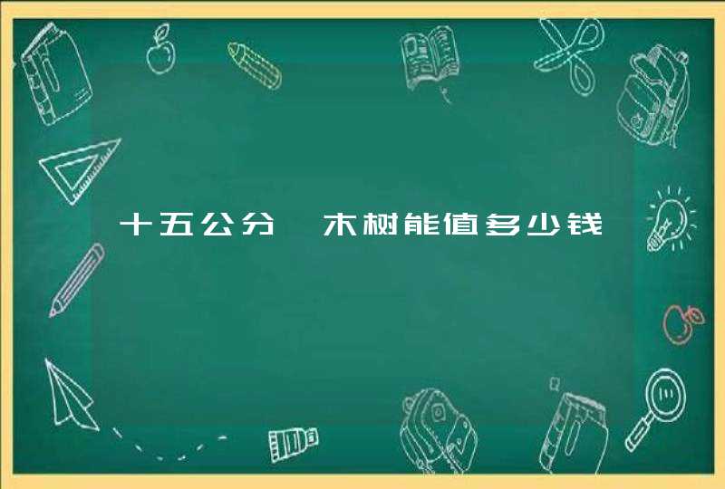 十五公分柘木树能值多少钱,第1张