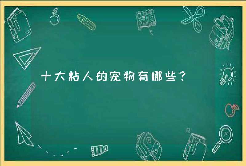 十大粘人的宠物有哪些？,第1张