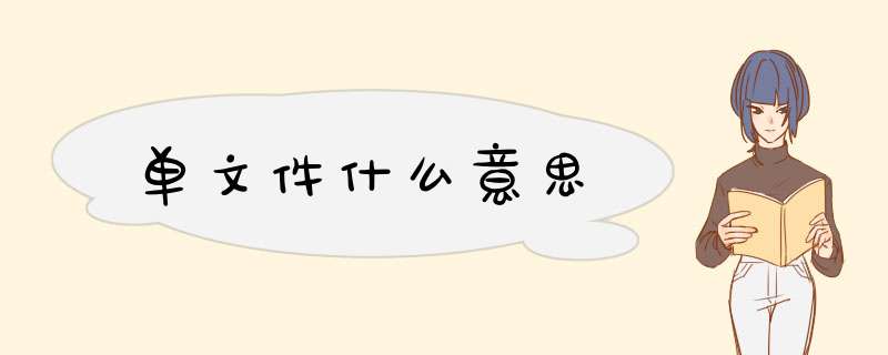 单文件什么意思,第1张