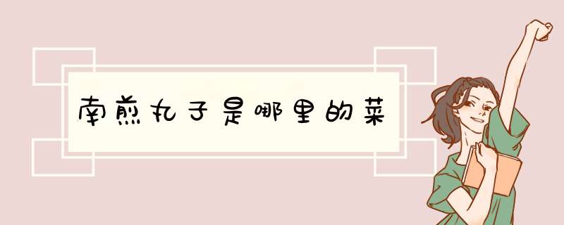 南煎丸子是哪里的菜,第1张