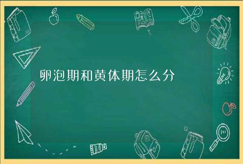 卵泡期和黄体期怎么分,第1张