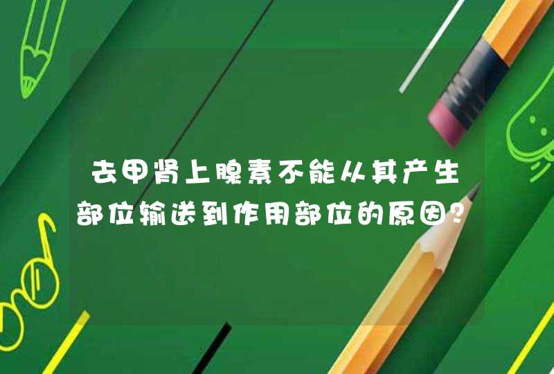 去甲肾上腺素不能从其产生部位输送到作用部位的原因？,第1张