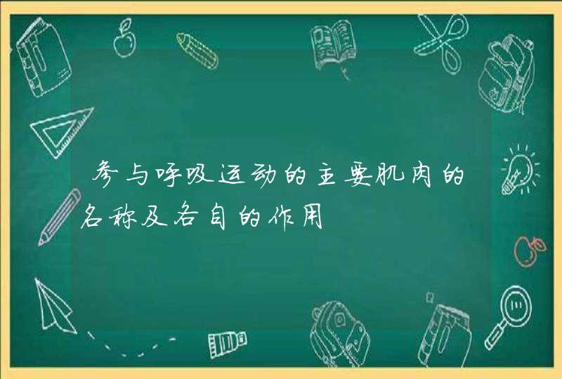 参与呼吸运动的主要肌肉的名称及各自的作用,第1张