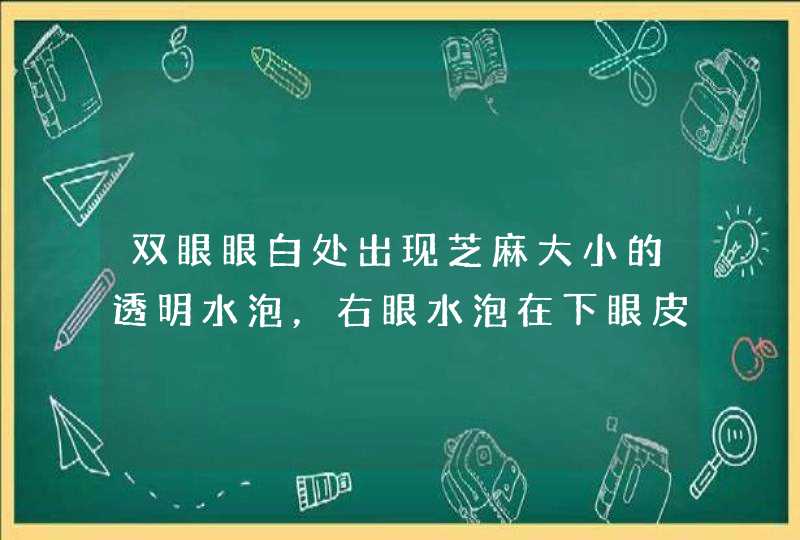 双眼眼白处出现芝麻大小的透明水泡，右眼水泡在下眼皮里面，疼痛，左眼在眼角处，与眼皮无接触，无疼痛感,第1张