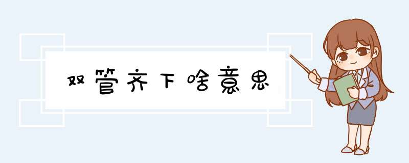 双管齐下啥意思,第1张