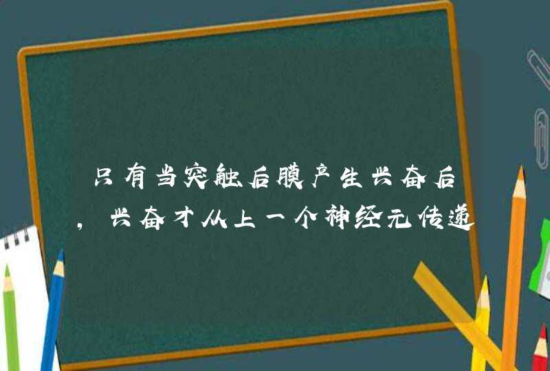 只有当突触后膜产生兴奋后,兴奋才从上一个神经元传递到下一个神经元。这句话对吗,第1张