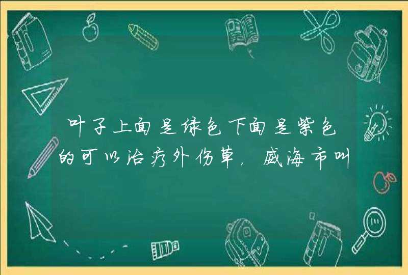 叶子上面是绿色下面是紫色的可以治疗外伤草，威海市叫拌脚草的草学名叫什么,第1张