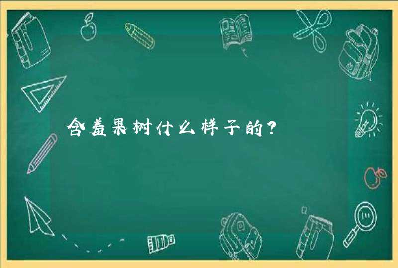 含羞果树什么样子的?,第1张