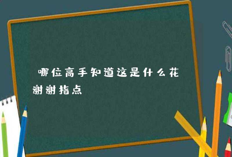 哪位高手知道这是什么花，谢谢指点,第1张