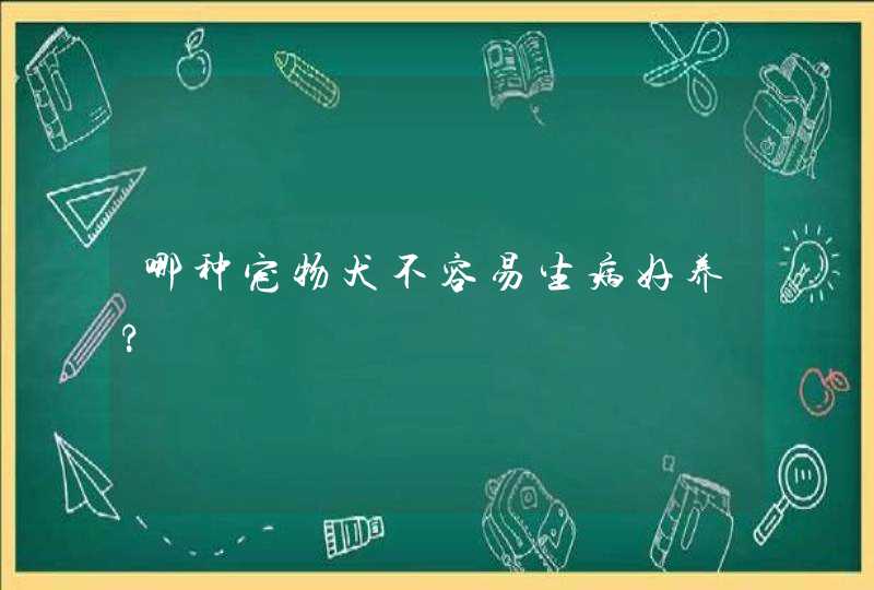 哪种宠物犬不容易生病好养?,第1张