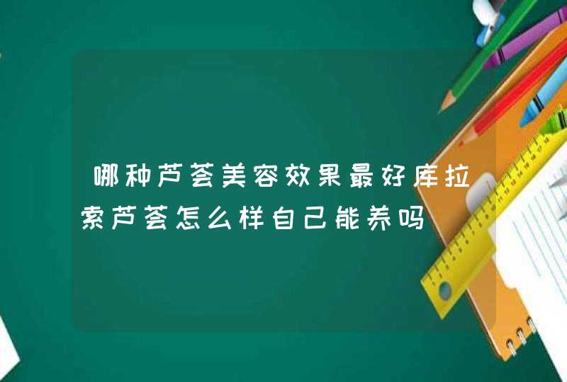 哪种芦荟美容效果最好库拉索芦荟怎么样自己能养吗,第1张