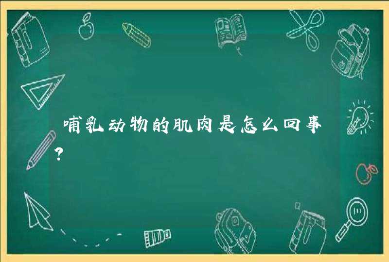 哺乳动物的肌肉是怎么回事？,第1张