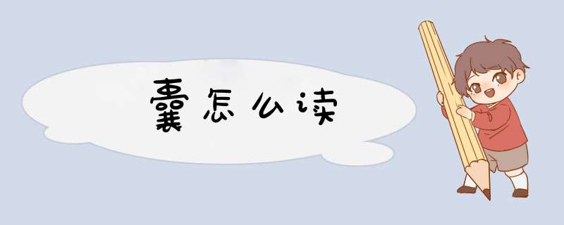 囊怎么读,第1张