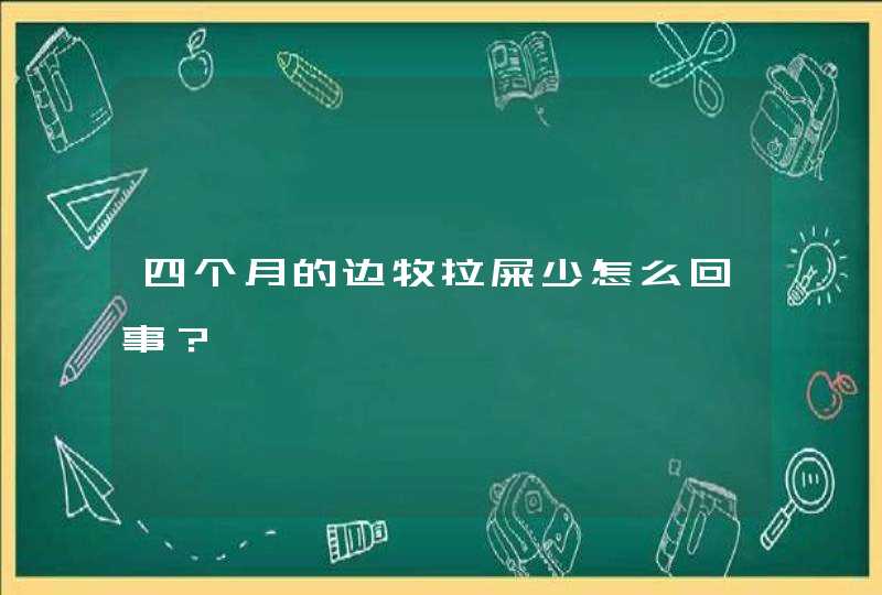 四个月的边牧拉屎少怎么回事？,第1张