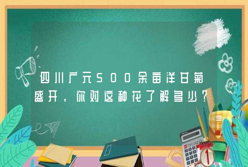 四川广元500余亩洋甘菊盛开，你对这种花了解多少？,第1张