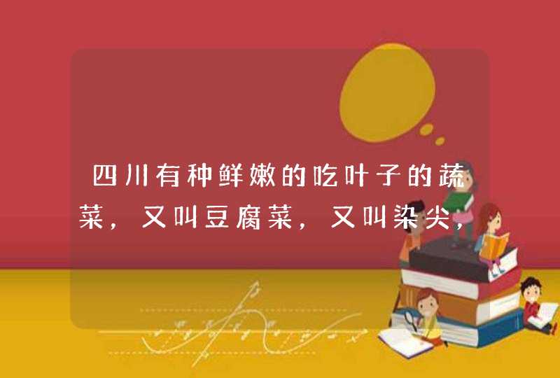 四川有种鲜嫩的吃叶子的蔬菜，又叫豆腐菜，又叫染尖，书名叫什么,第1张