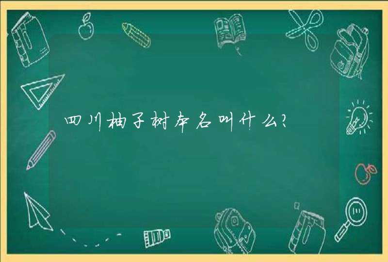 四川柚子树本名叫什么？,第1张