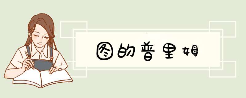 图的普里姆,第1张