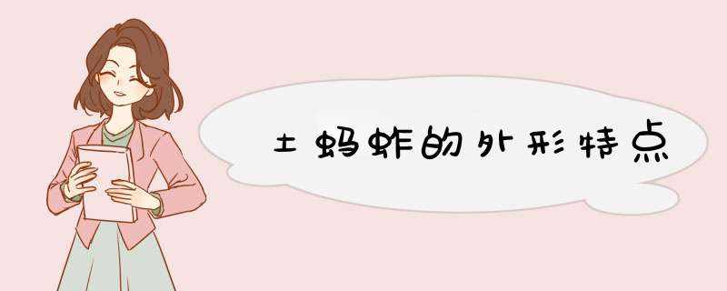土蚂蚱的外形特点,第1张