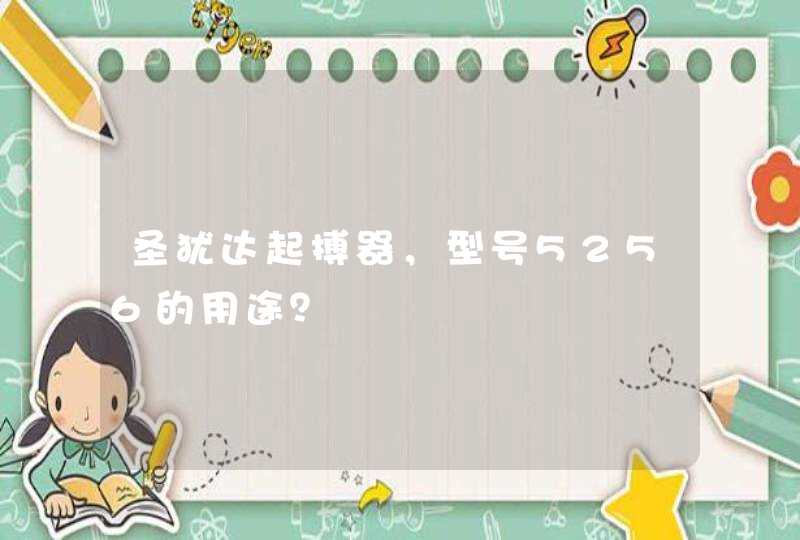 圣犹达起搏器，型号5256的用途？,第1张