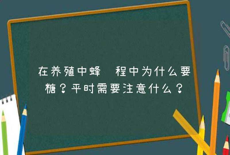 在养殖中蜂过程中为什么要给糖？平时需要注意什么？,第1张