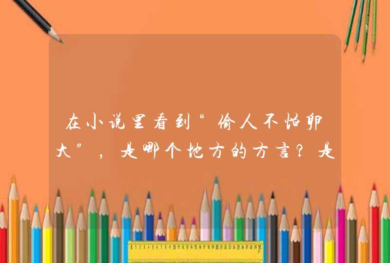 在小说里看到“偷人不怕卵大”，是哪个地方的方言？是什么意思？,第1张