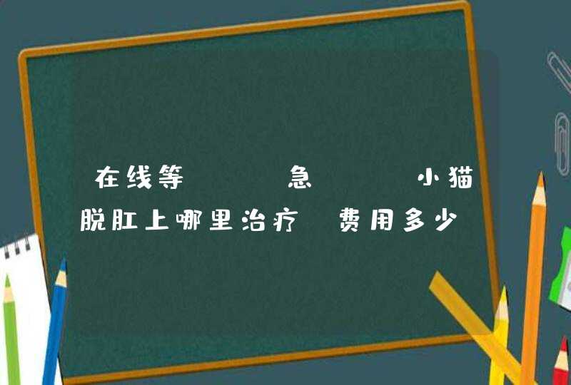 在线等！！！急！！！小猫脱肛上哪里治疗？费用多少？,第1张