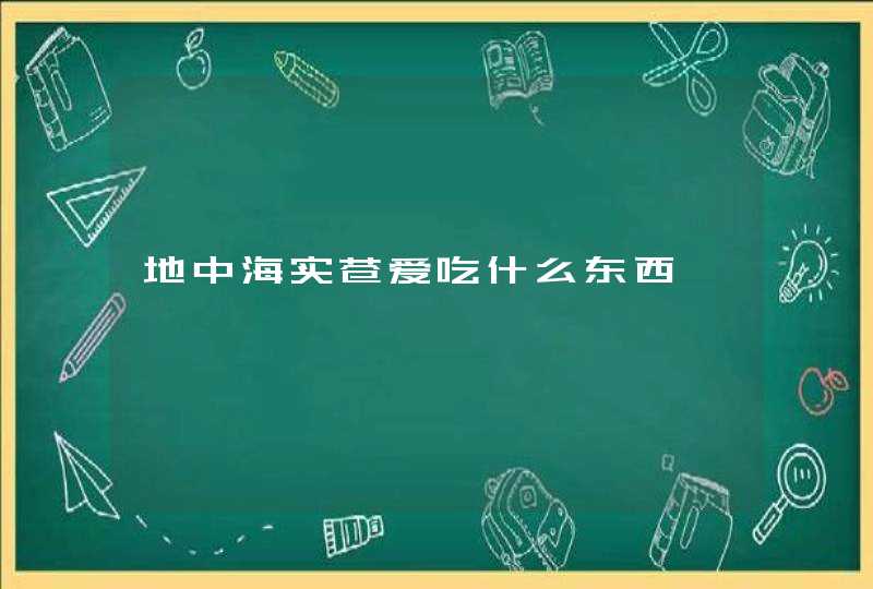 地中海实苍爱吃什么东西,第1张