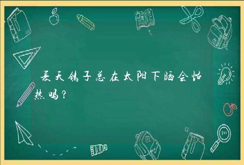 夏天鸽子总在太阳下晒会怕热吗？,第1张