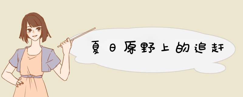 夏日原野上的追赶,第1张