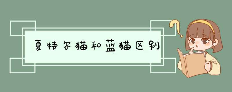 夏特尔猫和蓝猫区别,第1张