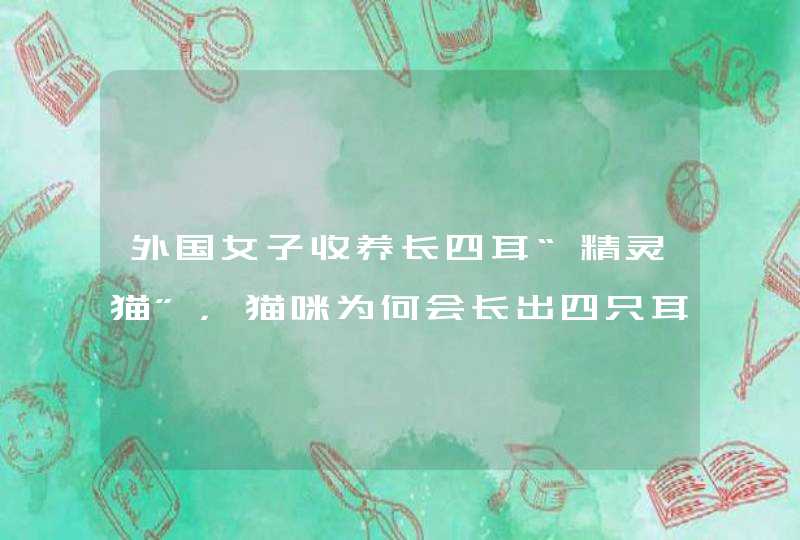 外国女子收养长四耳“精灵猫”，猫咪为何会长出四只耳朵？,第1张