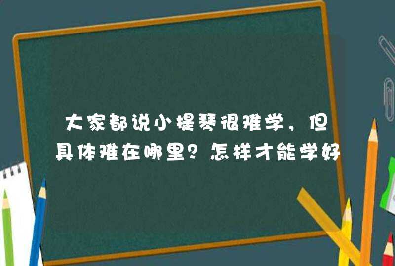 大家都说小提琴很难学，但具体难在哪里？怎样才能学好它？？,第1张