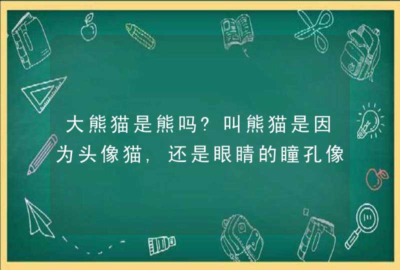 大熊猫是熊吗?叫熊猫是因为头像猫,还是眼睛的瞳孔像猫一样?,第1张