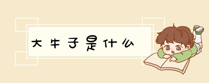 大牛子是什么,第1张