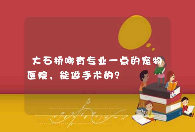 大石桥哪有专业一点的宠物医院，能做手术的？,第1张